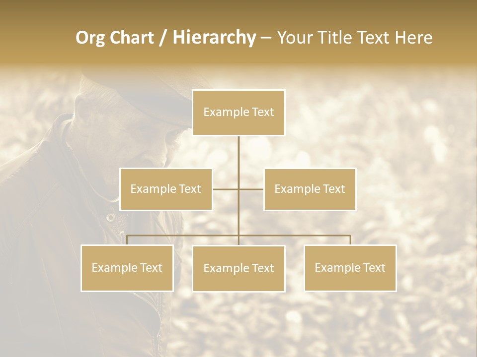 Nature Balding Healthy PowerPoint Template
