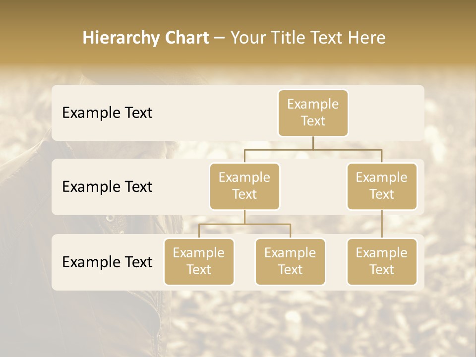 Nature Balding Healthy PowerPoint Template