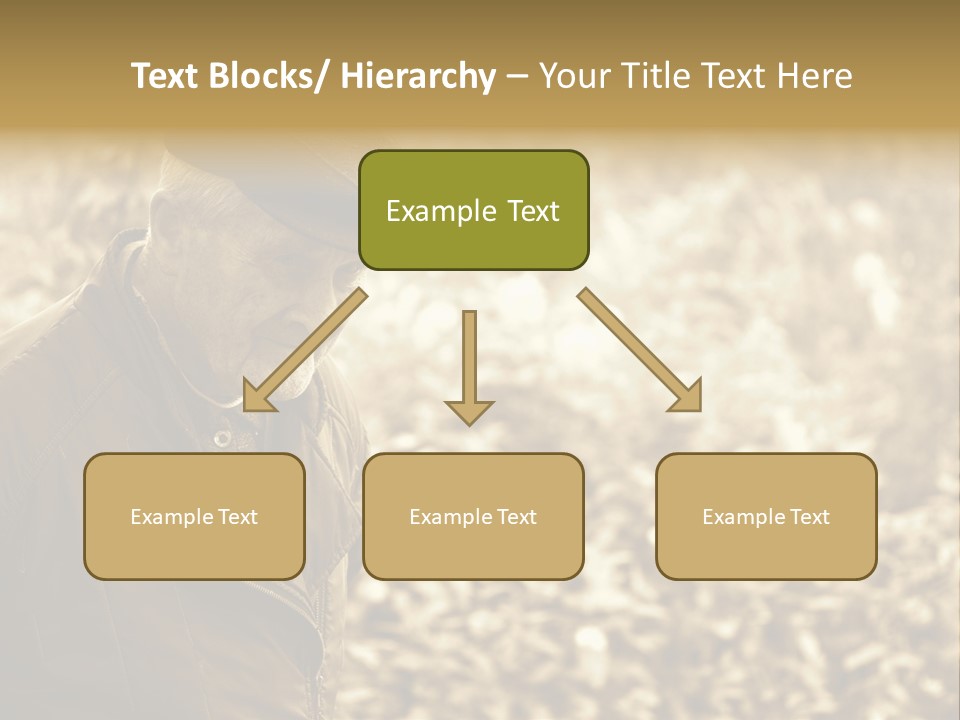 Nature Balding Healthy PowerPoint Template