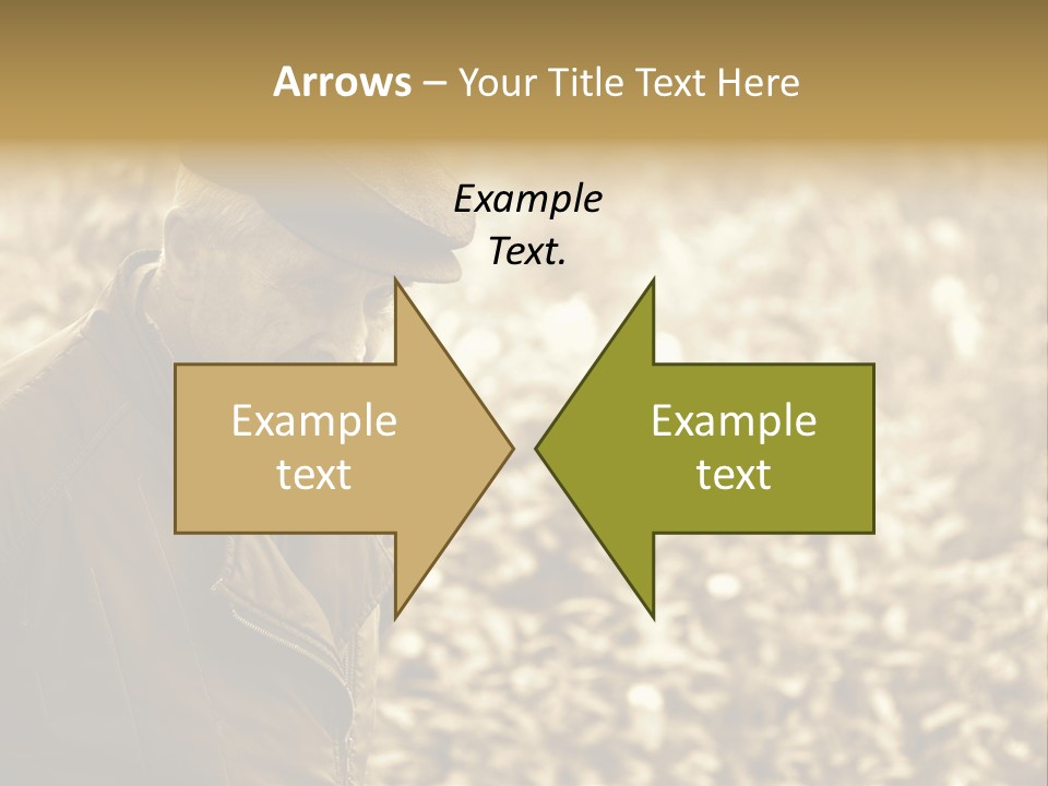 Nature Balding Healthy PowerPoint Template