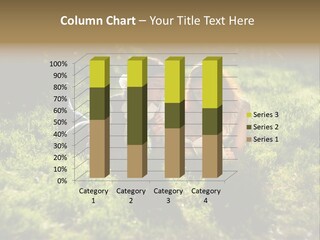 Student Thoughtfulness School PowerPoint Template