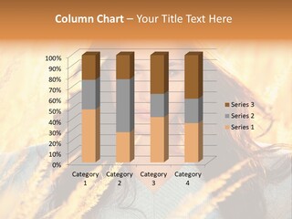 Portrait Day Close PowerPoint Template