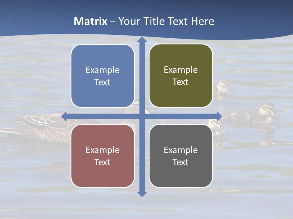 Fowl Young Bird PowerPoint Template