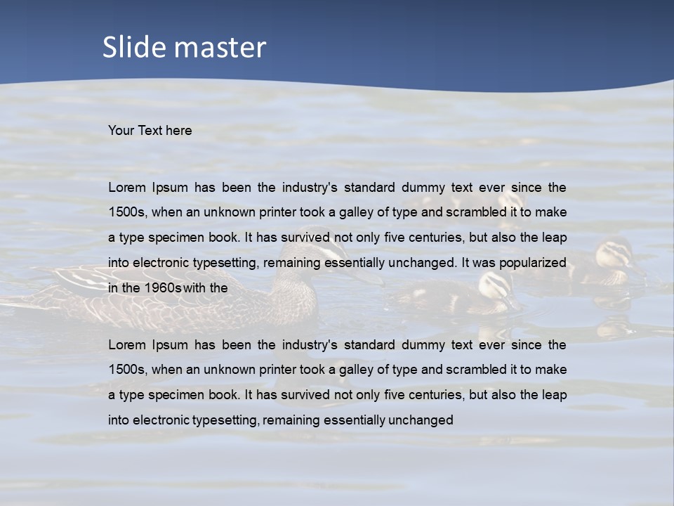 Fowl Young Bird PowerPoint Template