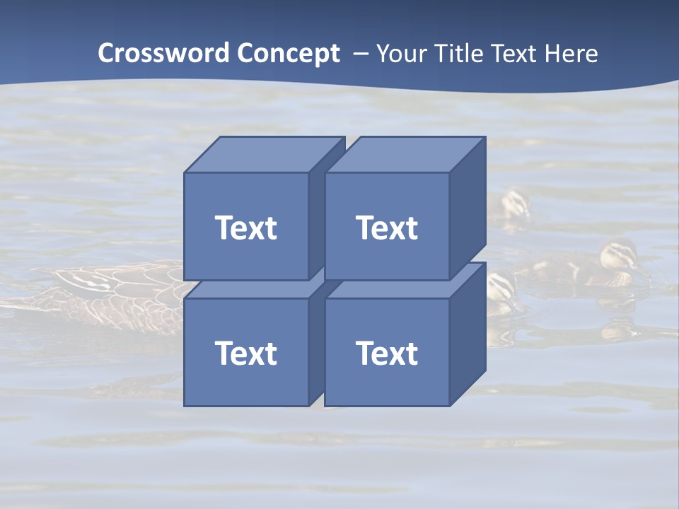 Fowl Young Bird PowerPoint Template