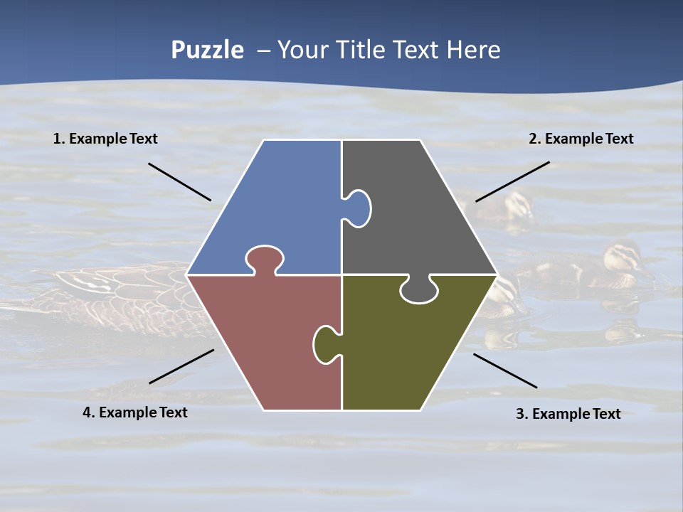 Fowl Young Bird PowerPoint Template