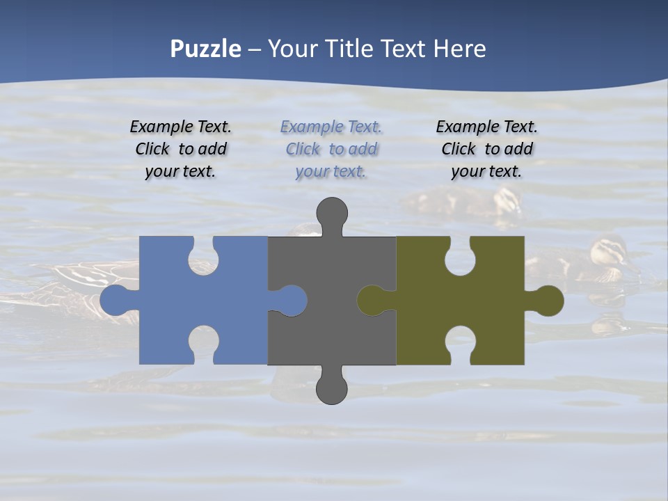 Fowl Young Bird PowerPoint Template