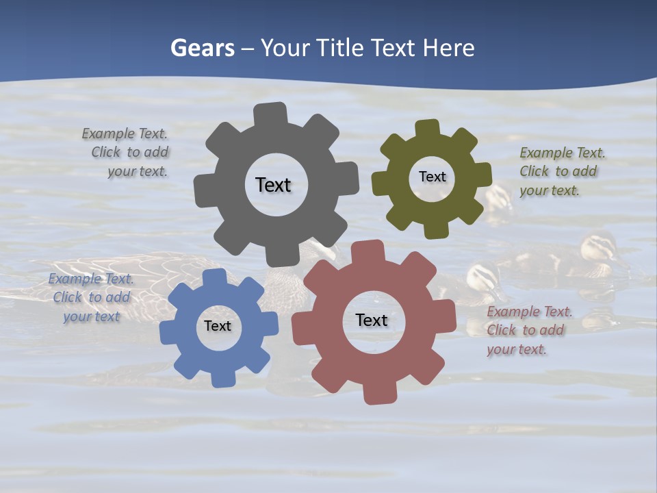 Fowl Young Bird PowerPoint Template