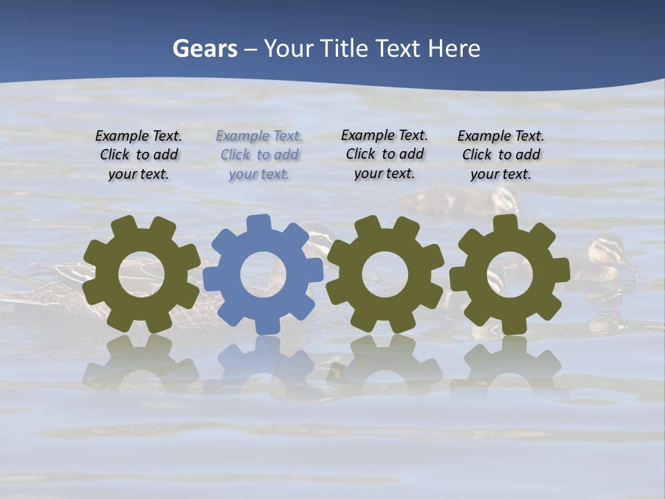 Fowl Young Bird PowerPoint Template