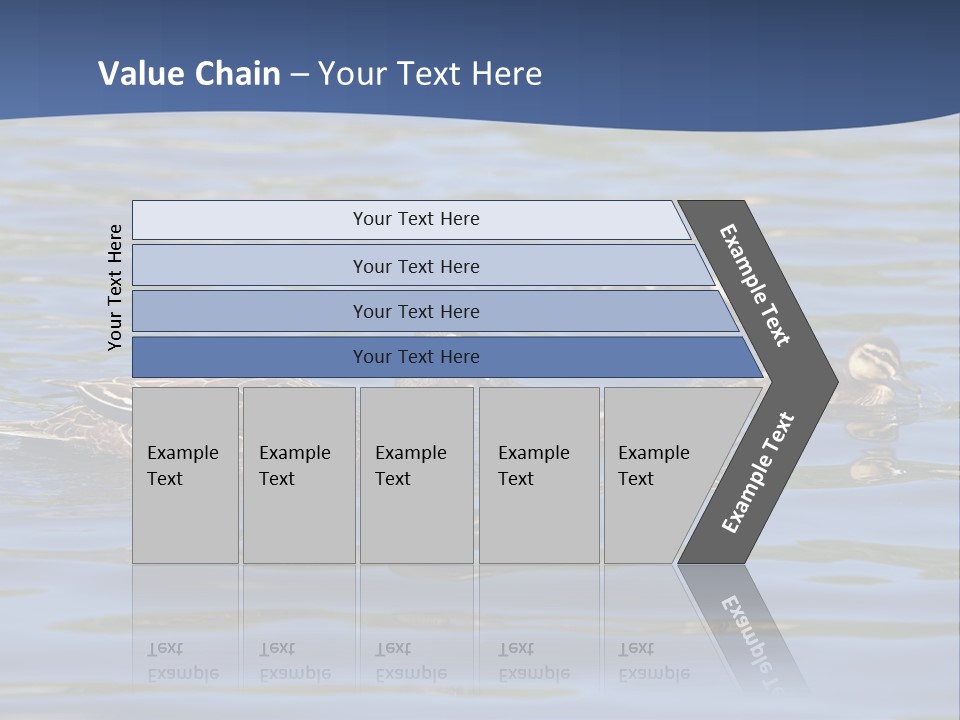 Fowl Young Bird PowerPoint Template