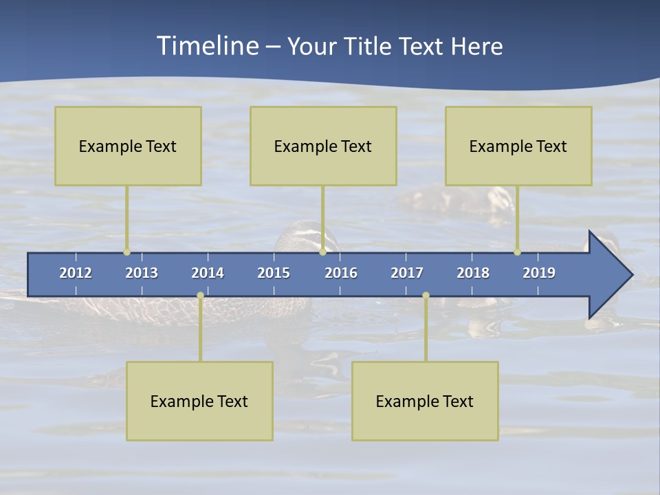 Fowl Young Bird PowerPoint Template