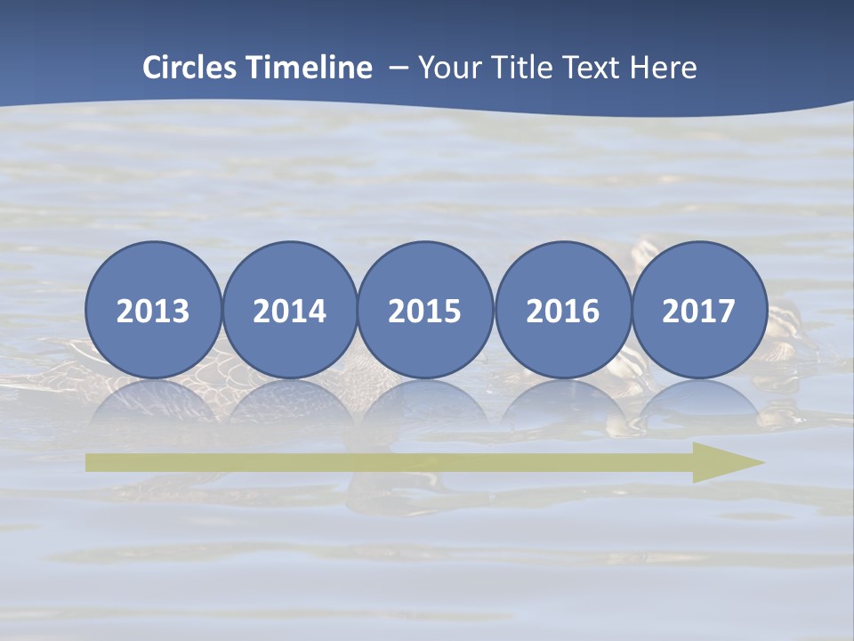 Fowl Young Bird PowerPoint Template