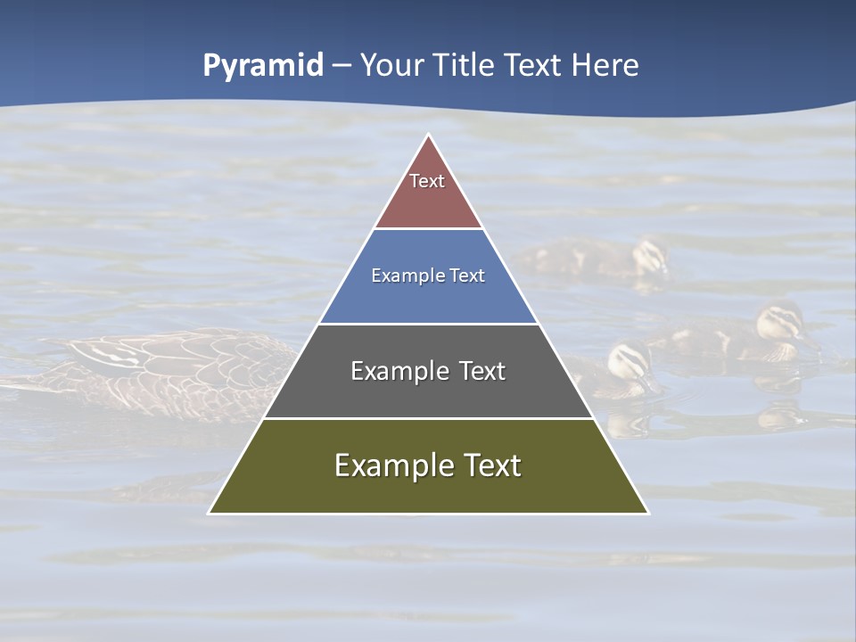 Fowl Young Bird PowerPoint Template