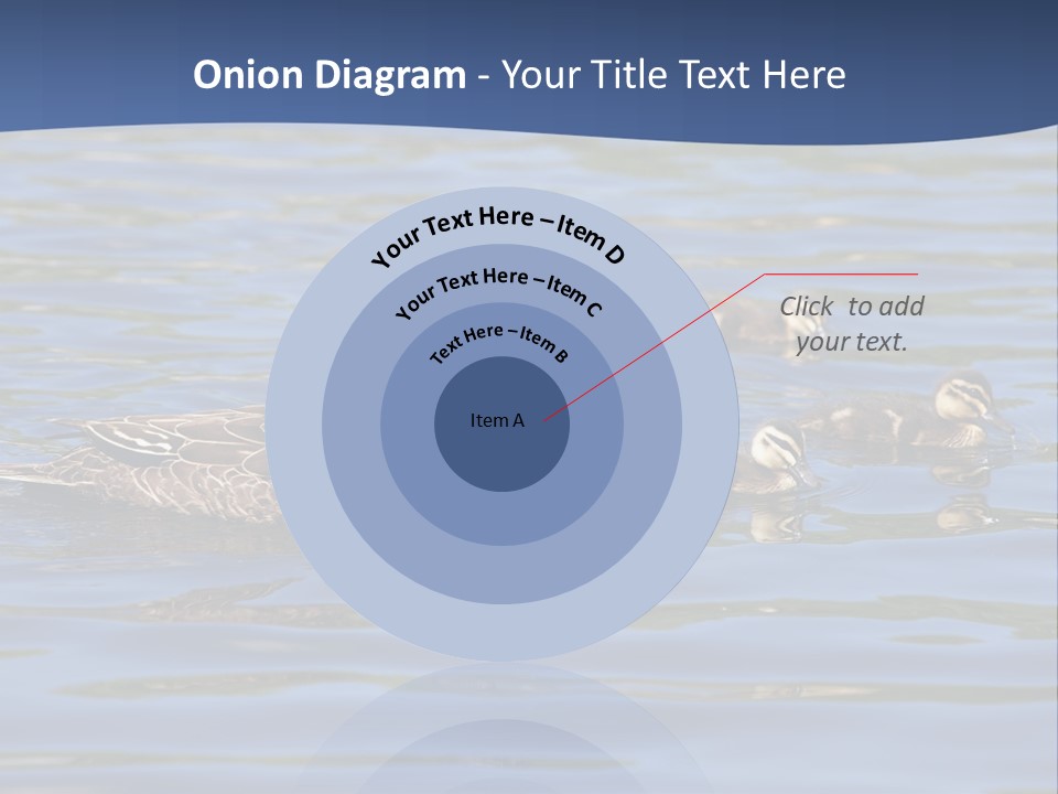 Fowl Young Bird PowerPoint Template