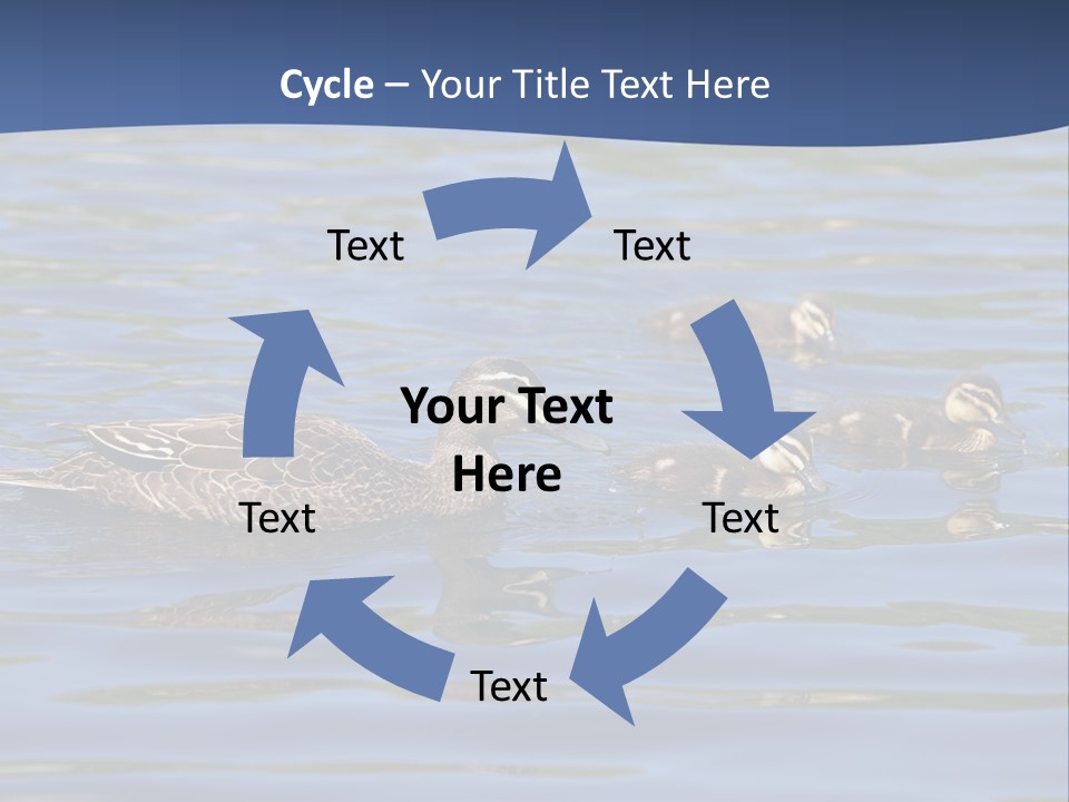 Fowl Young Bird PowerPoint Template