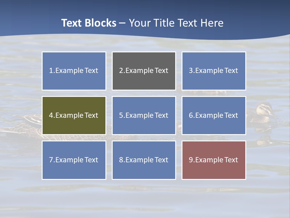 Fowl Young Bird PowerPoint Template