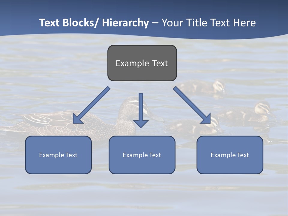 Fowl Young Bird PowerPoint Template