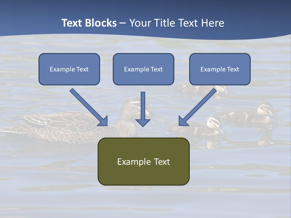 Fowl Young Bird PowerPoint Template