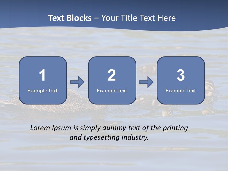 Fowl Young Bird PowerPoint Template