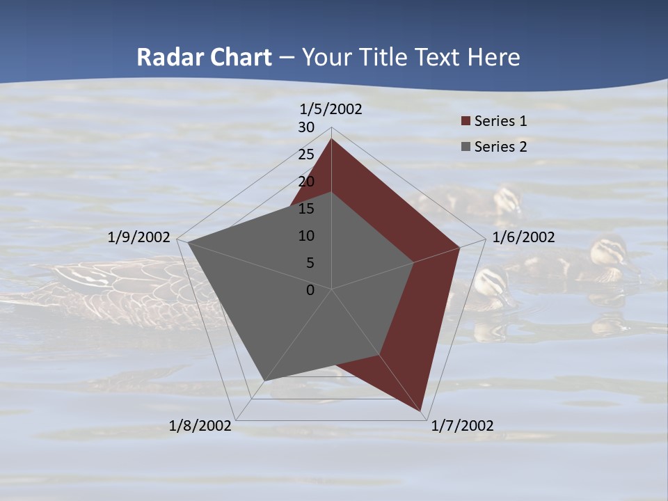 Fowl Young Bird PowerPoint Template