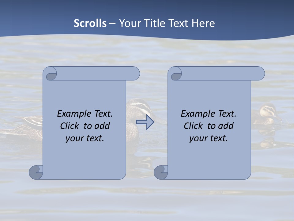Fowl Young Bird PowerPoint Template