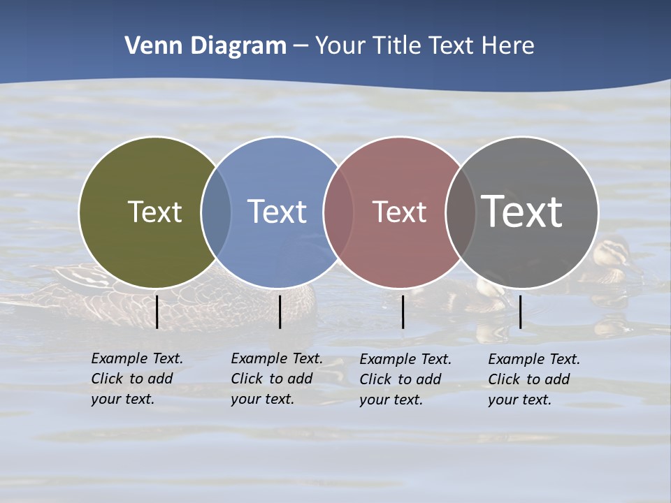 Fowl Young Bird PowerPoint Template