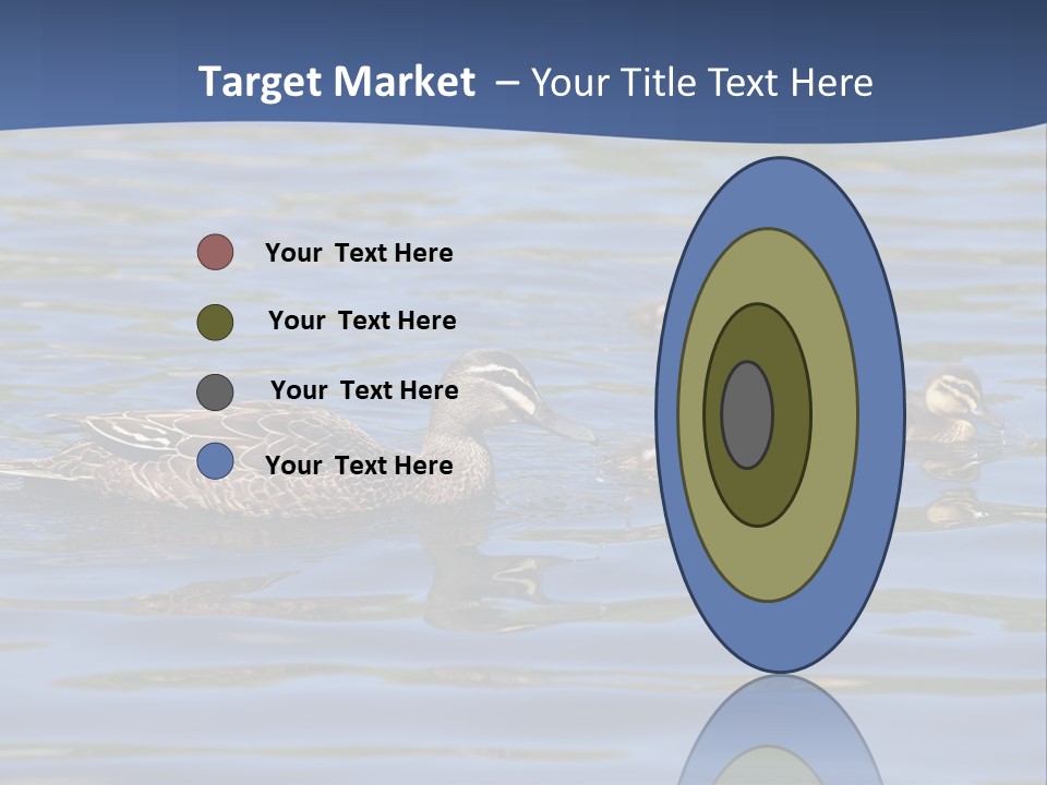 Fowl Young Bird PowerPoint Template