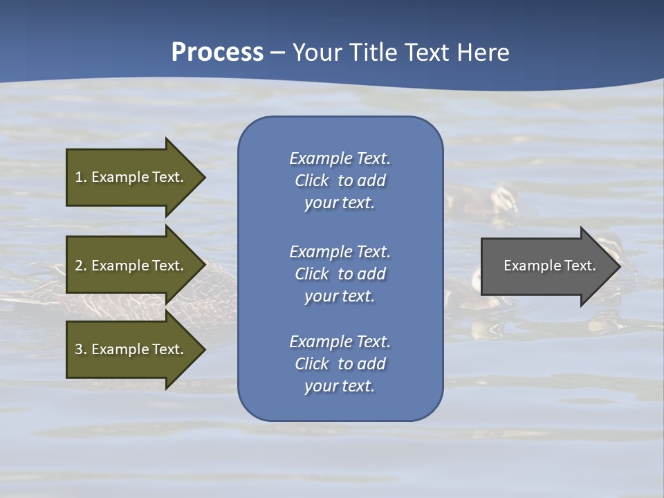 Fowl Young Bird PowerPoint Template