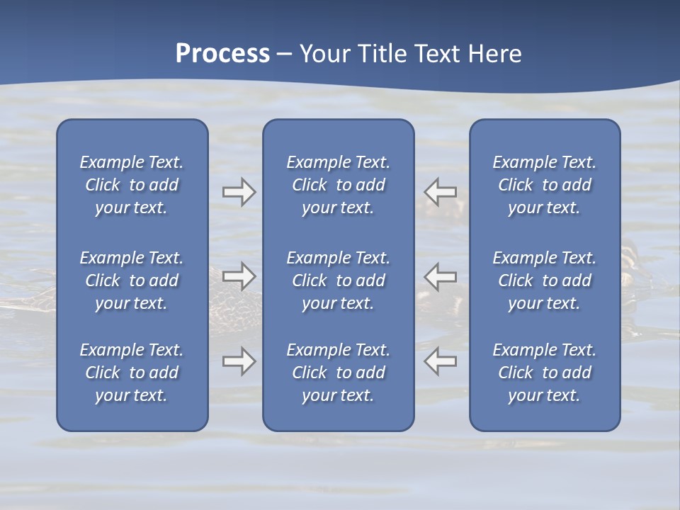 Fowl Young Bird PowerPoint Template