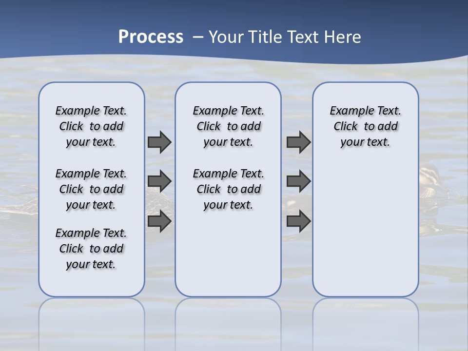 Fowl Young Bird PowerPoint Template