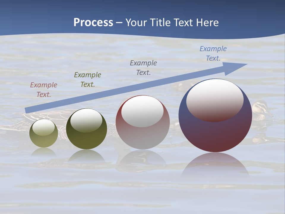 Fowl Young Bird PowerPoint Template