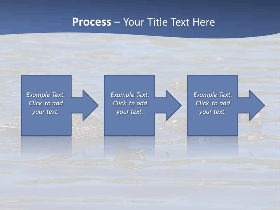 Fowl Young Bird PowerPoint Template