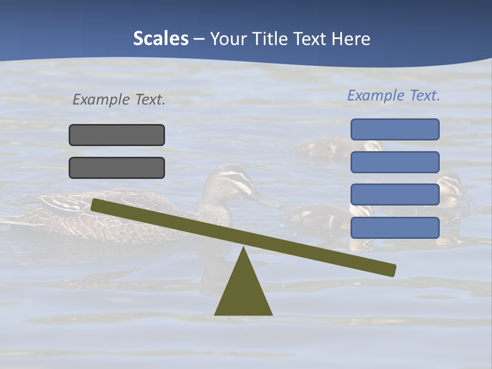 Fowl Young Bird PowerPoint Template