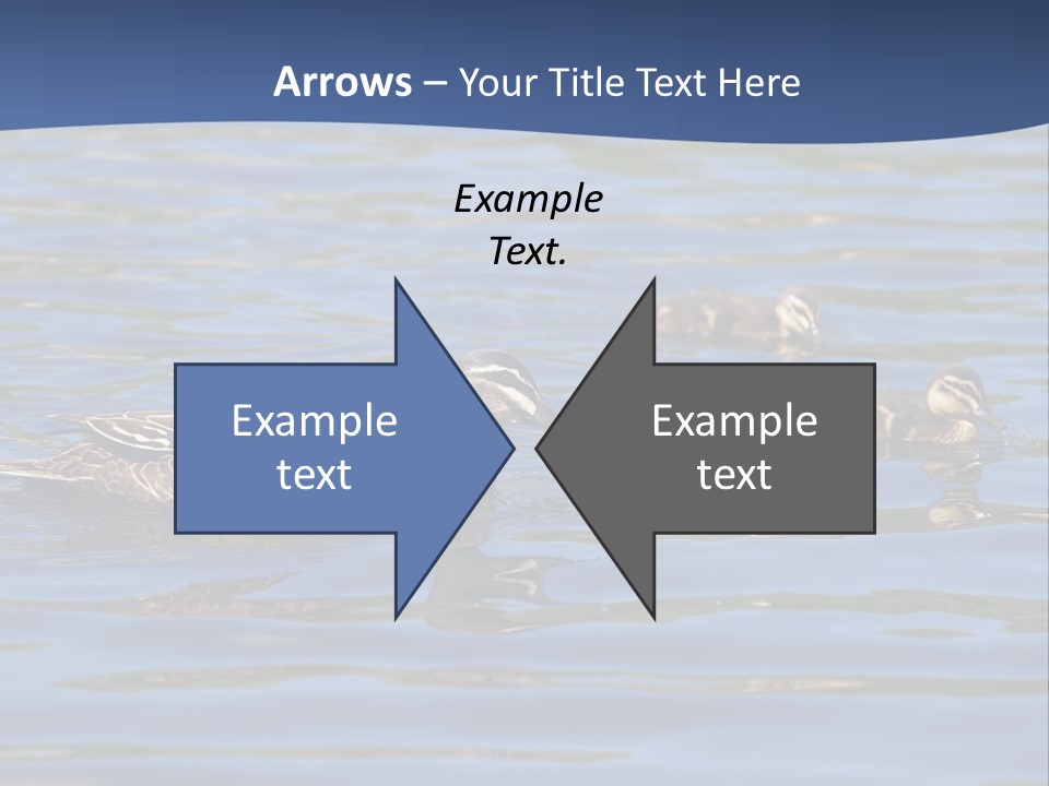 Fowl Young Bird PowerPoint Template