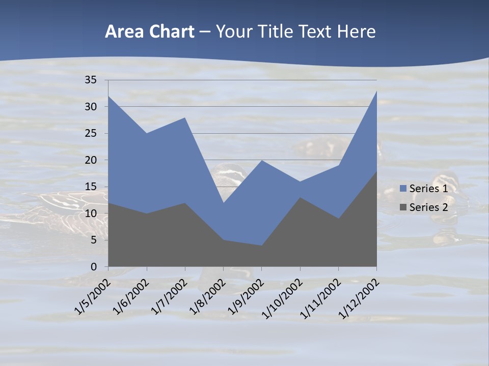 Fowl Young Bird PowerPoint Template