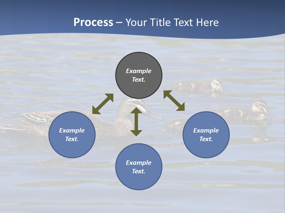 Fowl Young Bird PowerPoint Template