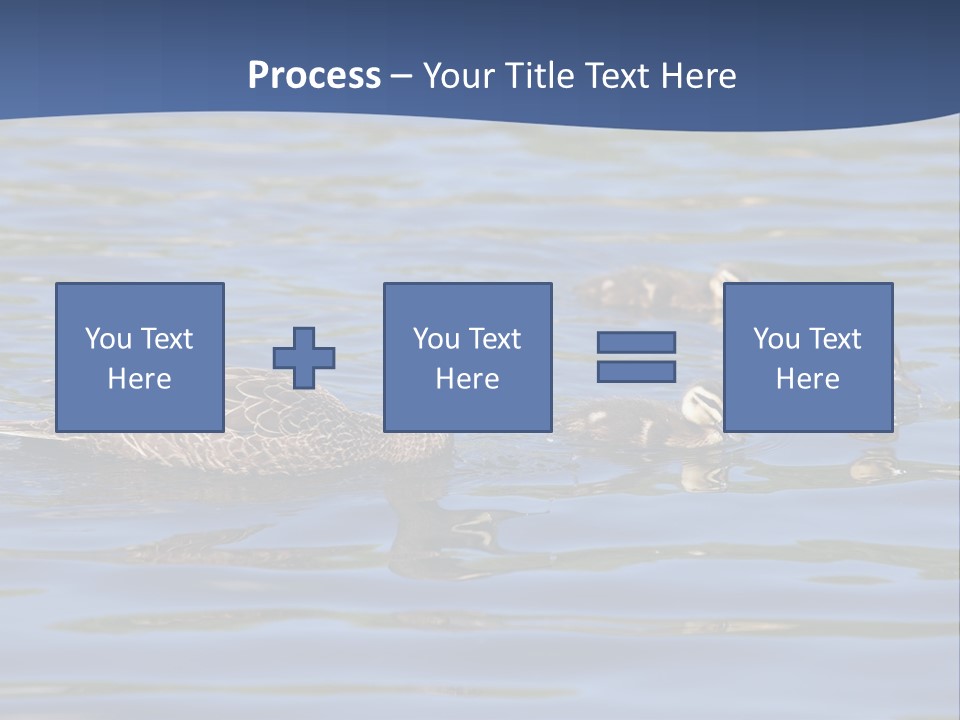 Fowl Young Bird PowerPoint Template