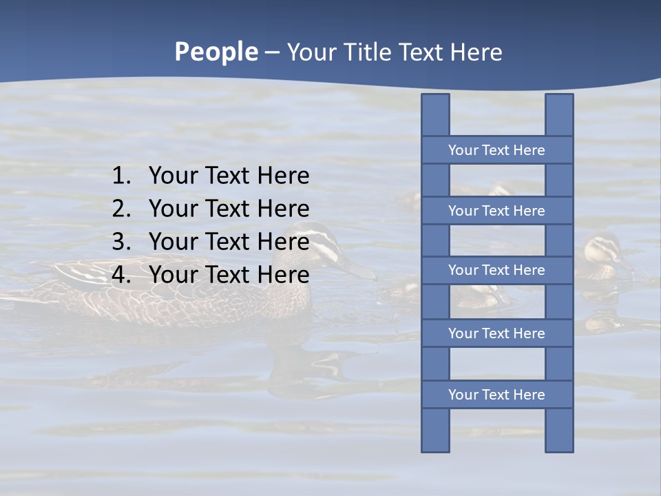 Fowl Young Bird PowerPoint Template