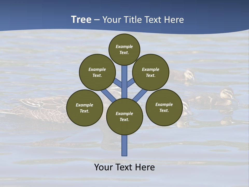 Fowl Young Bird PowerPoint Template