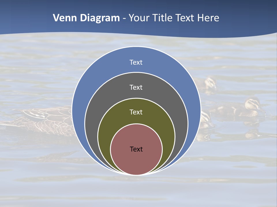Fowl Young Bird PowerPoint Template