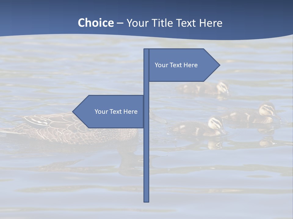 Fowl Young Bird PowerPoint Template