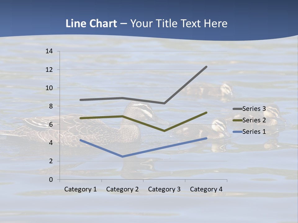 Fowl Young Bird PowerPoint Template