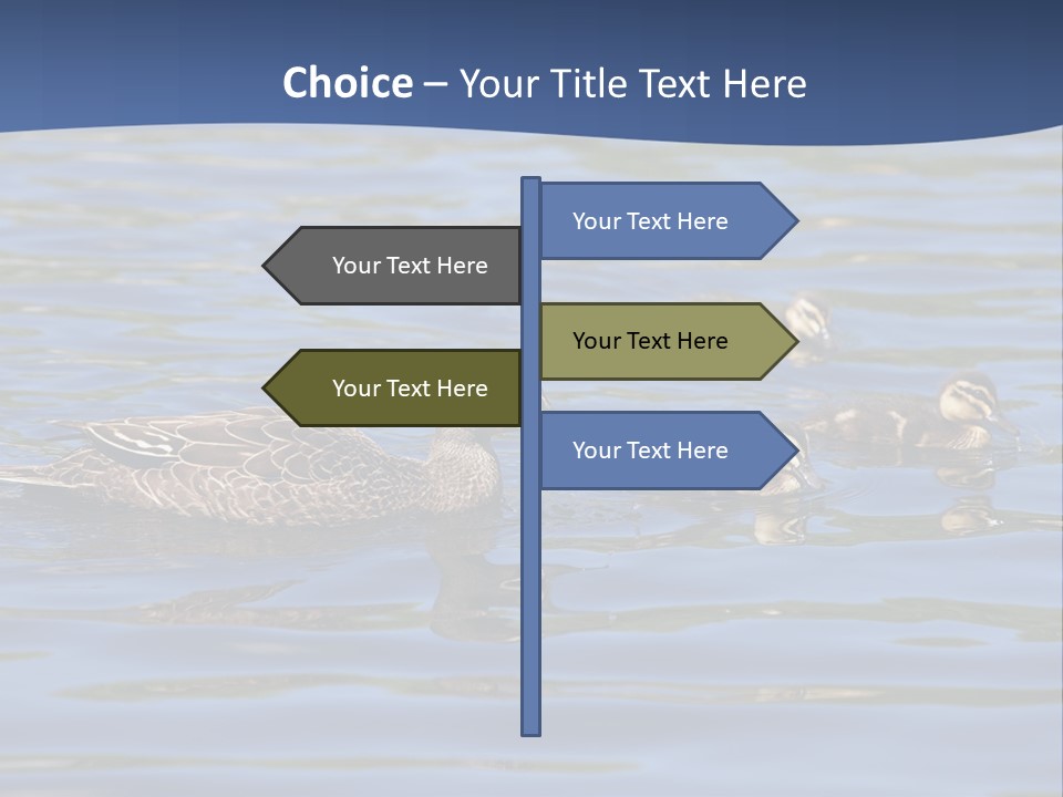 Fowl Young Bird PowerPoint Template