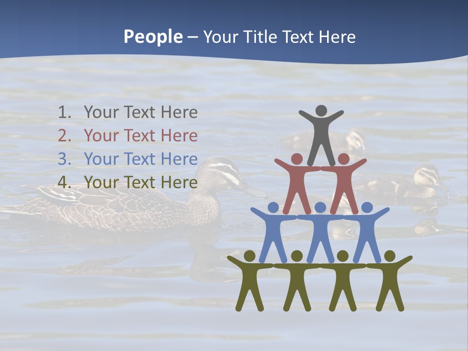 Fowl Young Bird PowerPoint Template