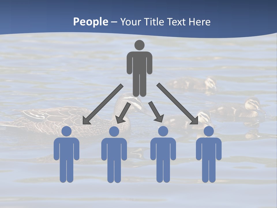 Fowl Young Bird PowerPoint Template