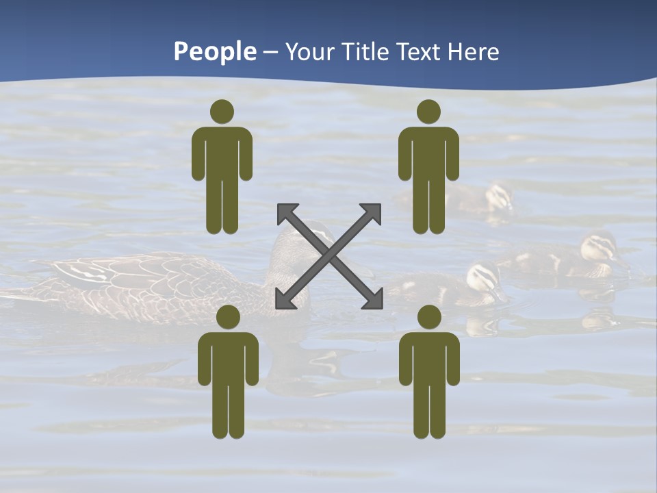 Fowl Young Bird PowerPoint Template