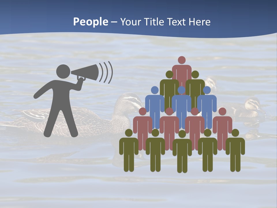 Fowl Young Bird PowerPoint Template