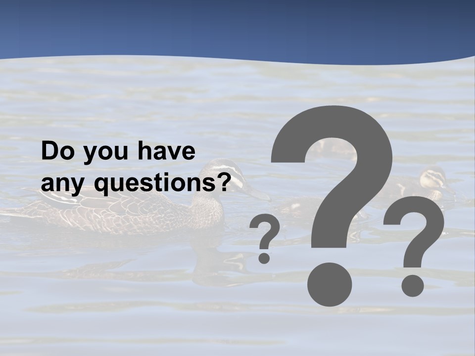 Fowl Young Bird PowerPoint Template