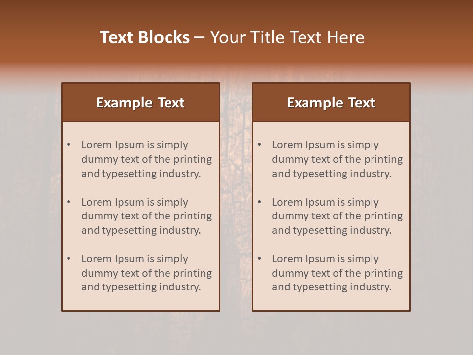Skirt Garment Fashion PowerPoint Template