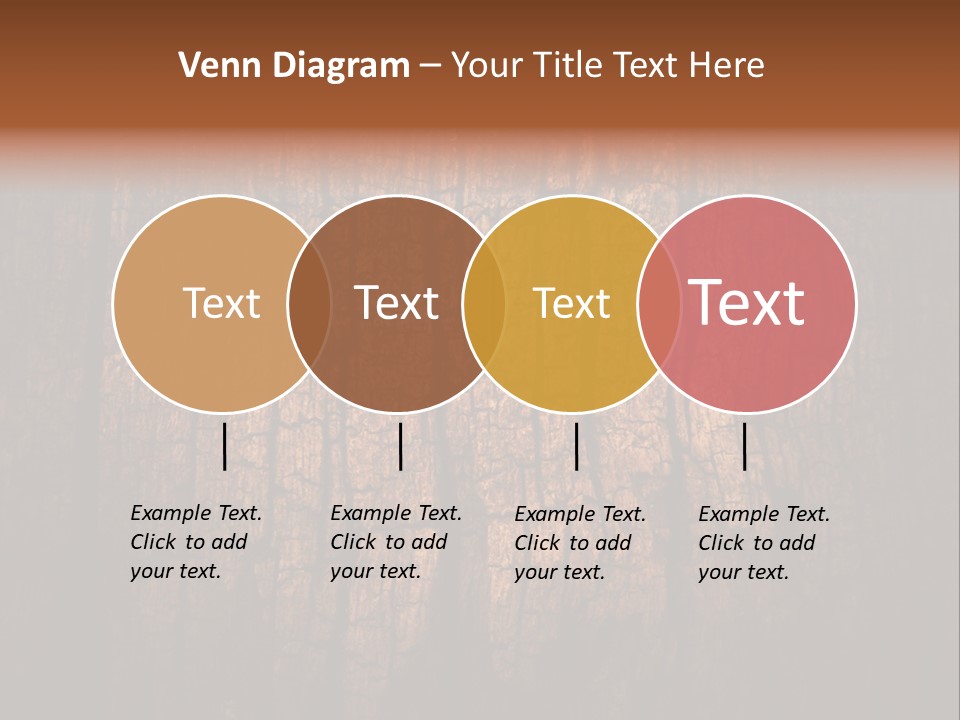 Skirt Garment Fashion PowerPoint Template